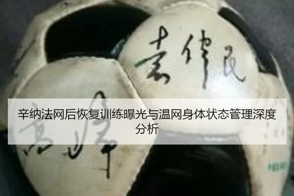 xin-na-fa-wang-hou-hui-fu-xun-lian-bao-guang-yu-wen-wang-shen-ti-zhuang-tai-guan-li-shen-du-fen-xi-2-452.jpg
